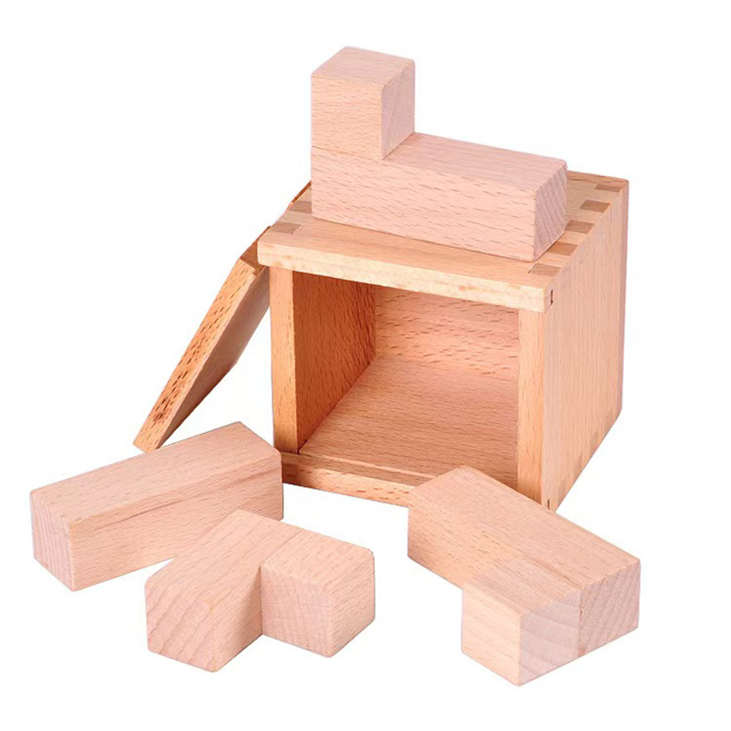 Brain Teaser Cube - Boîte de puzzle en bois pour