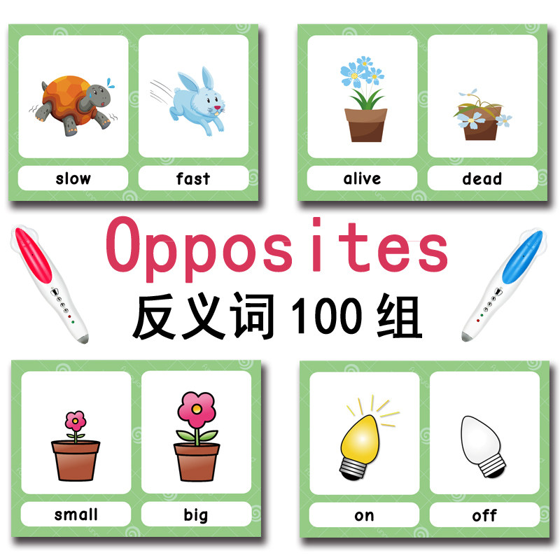 100 cartes mémoire sur les gro - Kids Educational Resources avis et prix