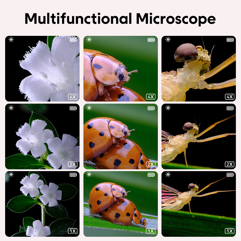 Mini Microscope numérique, lou - Kids Definition Of Education avis et prix