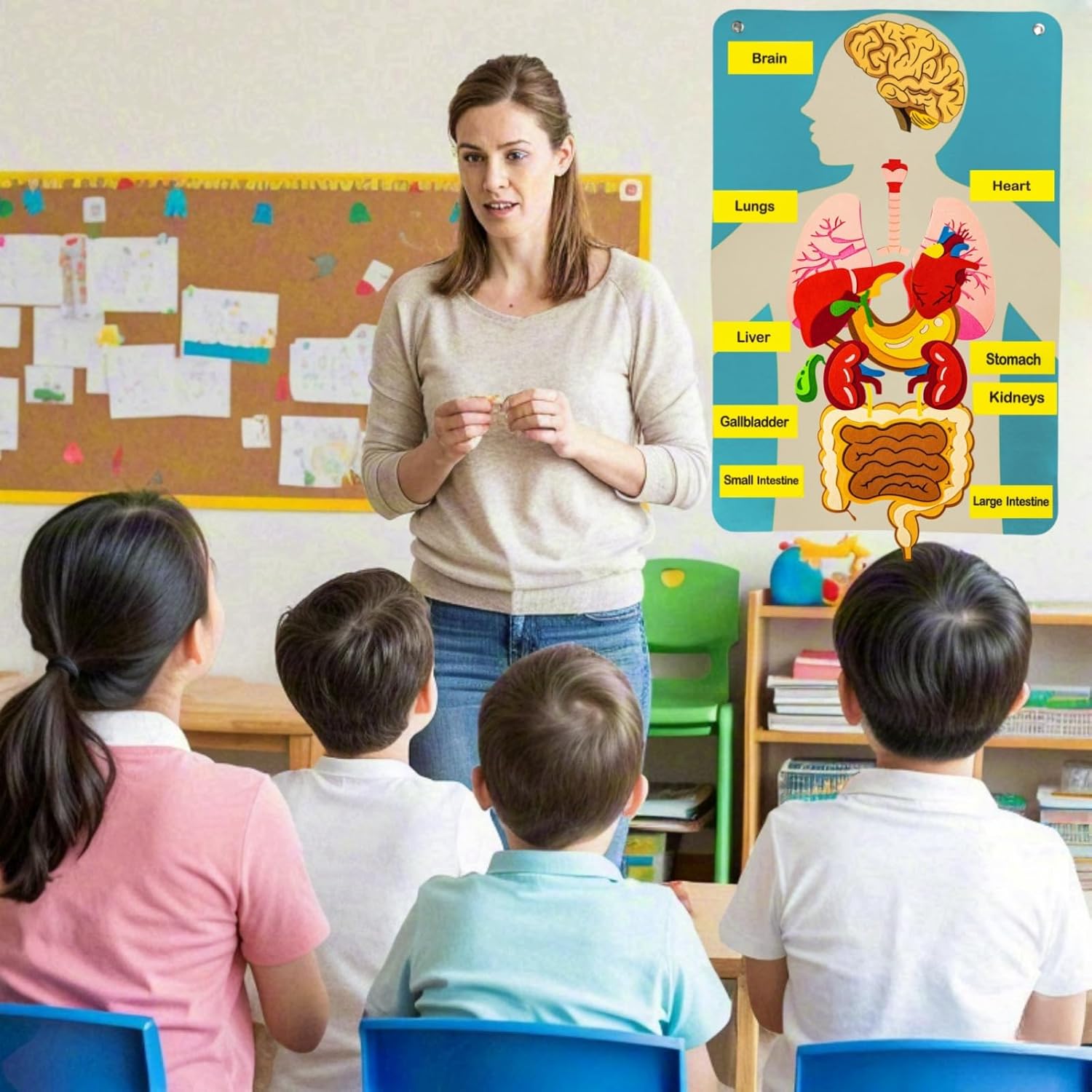Pièces du corps humain, planch - Kids Education Story avis et prix